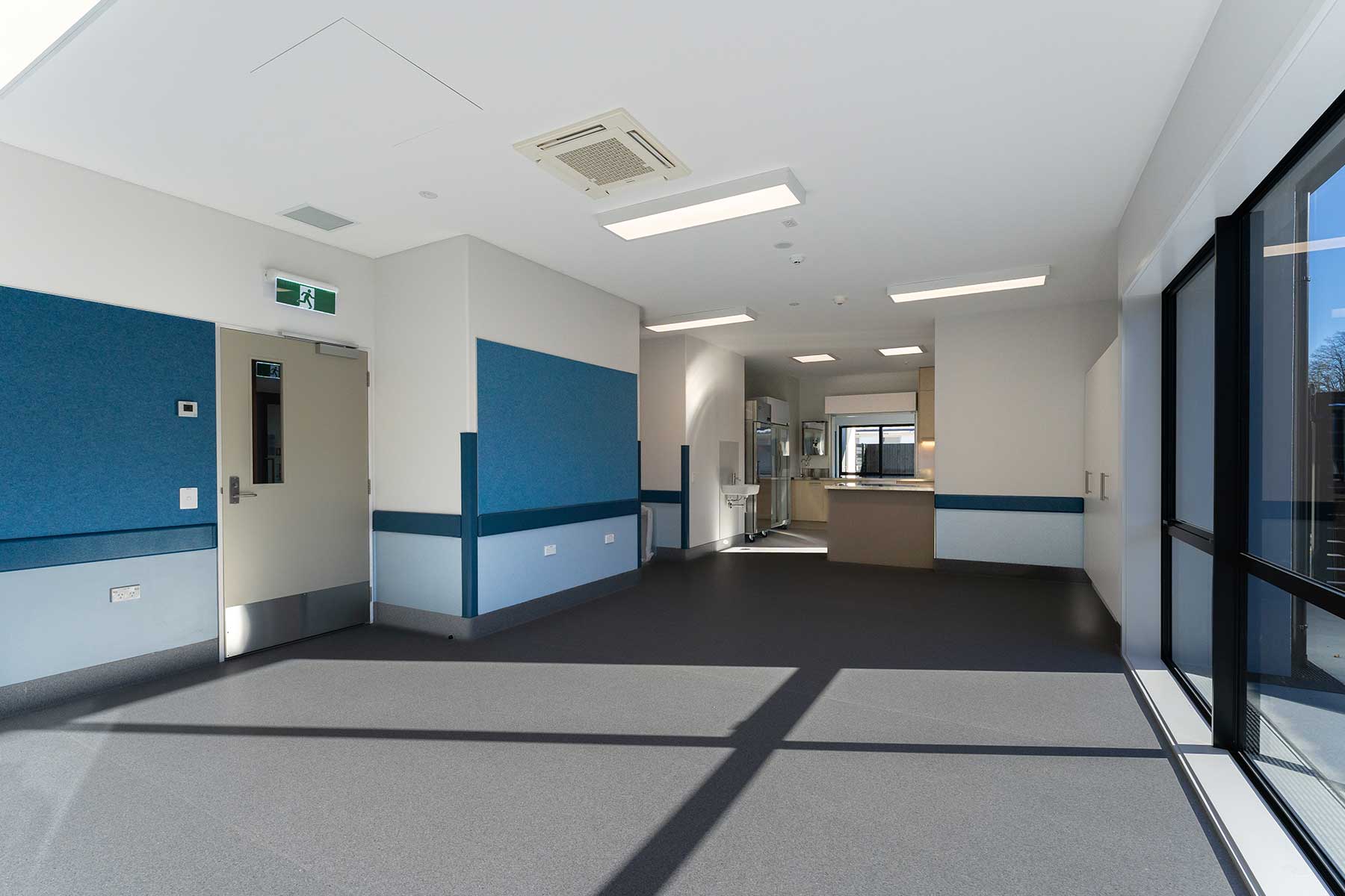 Puriri St 8